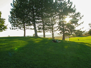 Picture of a Sunset over Green Field