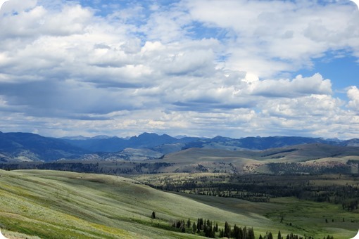 Lamar Valley