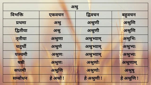 अश्रु शब्द के रूप(Ashru shabda ke roop) /Ashru shabd roop in Sanskrit