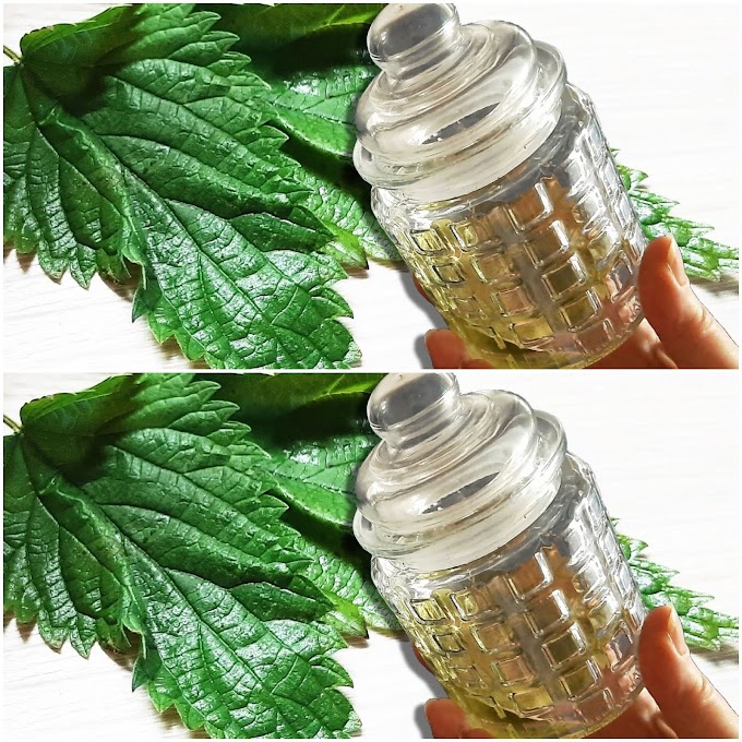  Find Out How Surprisingly Nettle Oil Can Relieve Joint and Bone Pain