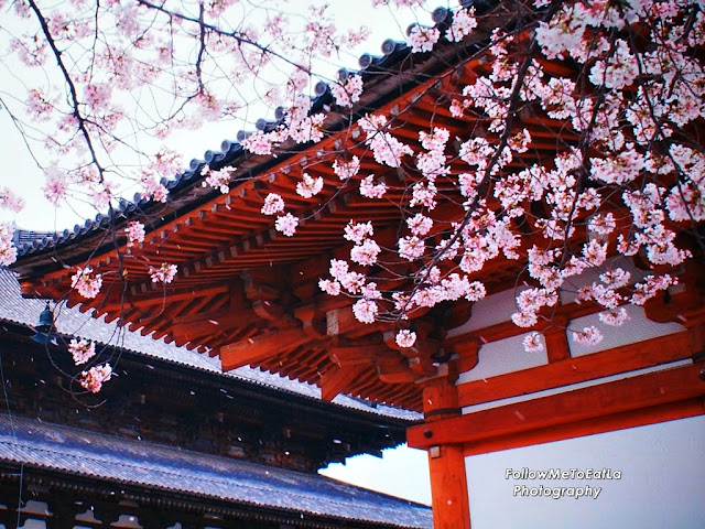 Cherry Blossom Captures The Flavour Of Spring