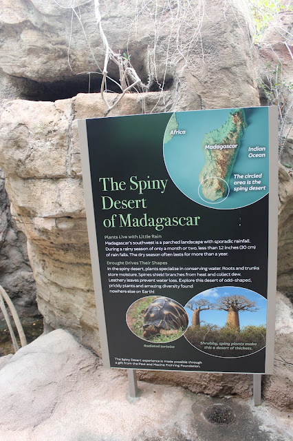 Cleveland Botanical Garden - The Spiny Desert of Madagascar sign