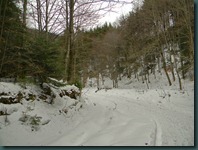 DSCN3488