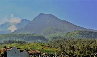  Indonesia dikenal sebagai negara yang memiliki beberapa  20 Gunung Tertinggi di Indonesia (Data Lengkap)