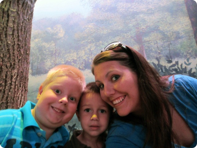 IMG_2221 IMG_2221