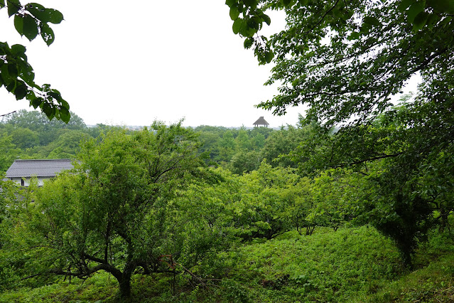 鳥取県米子市淀江町福岡 伯耆古代の丘公園