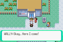 pokemon emerald wally version screenshot 6