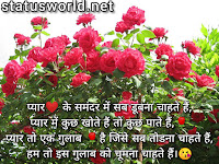 Rose Day Images