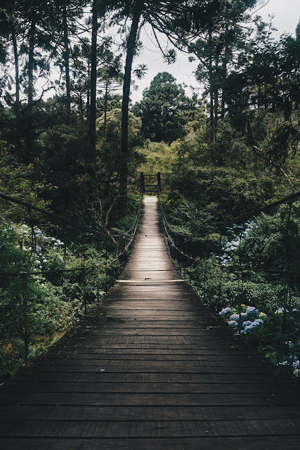 تصویر