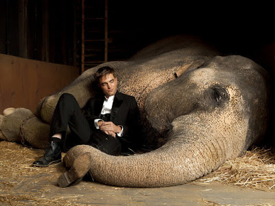 foto de elefante durmiendo con hombre 