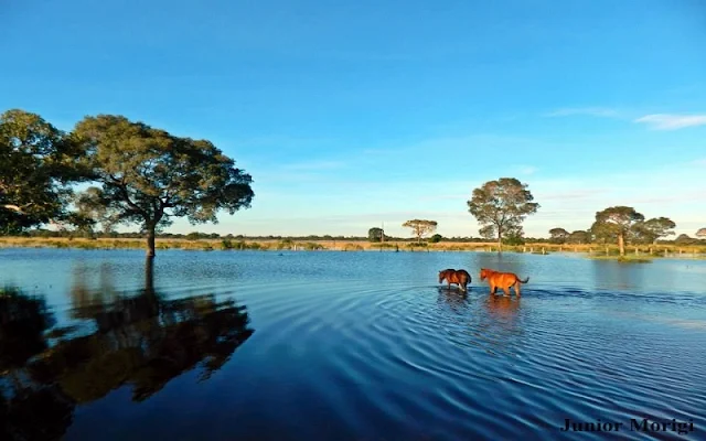 Amanhecer no Campo