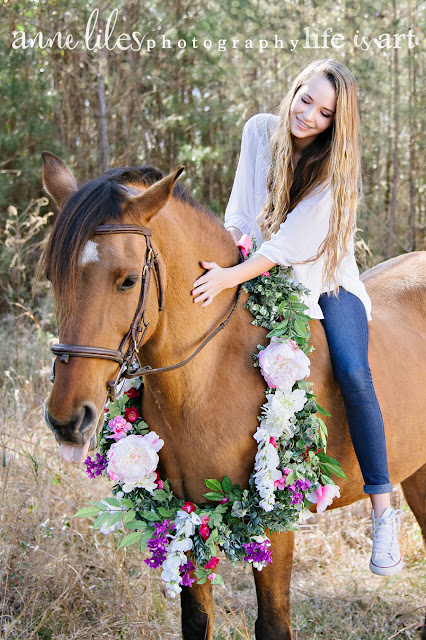 Anne Liles Photography | Horse  love: Honalee Stables