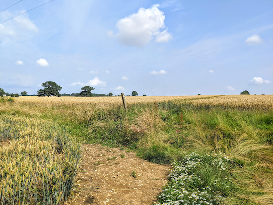 Turn left at the junction on Offley footpath 4