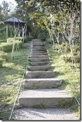 P1320231