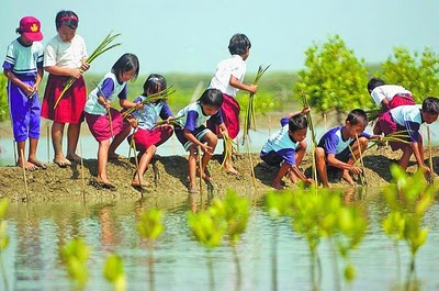 Sumber Daya Alam Upaya Pelestarian Lingkungan Alam