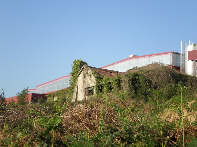 Casa de don Fernando. Foto: J. Migueles