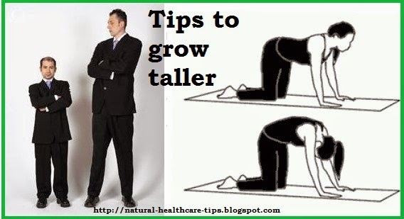 What Food Makes You Grow Taller