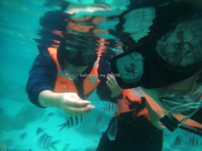 snorkeling pulau redang_6 snorkeling pulau redang_6