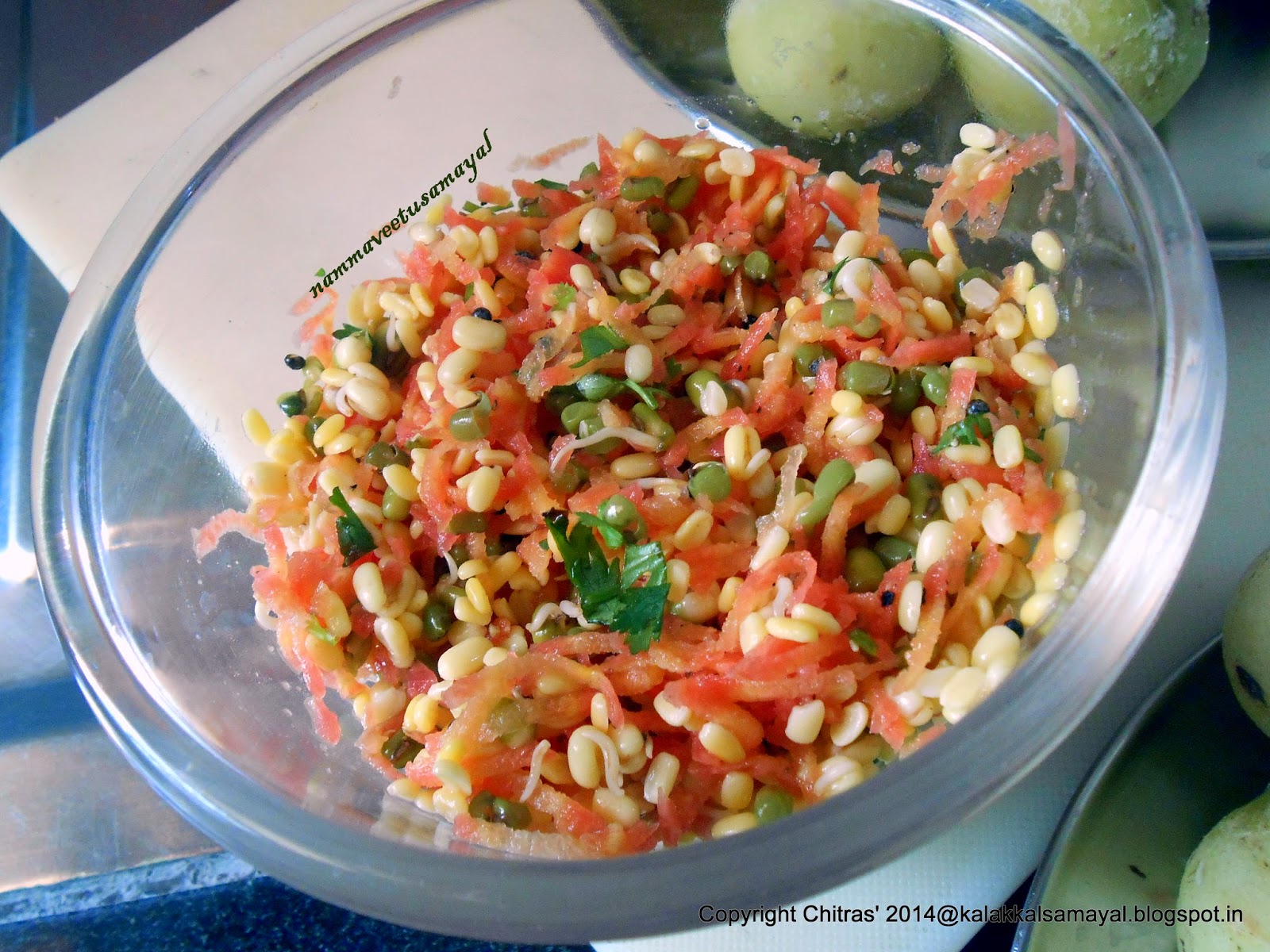 Carrot and green gram sprouts Salad