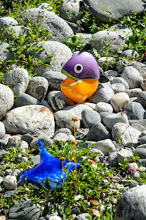 Glass Fish at Jewell Gardens - Skagway, Alaska