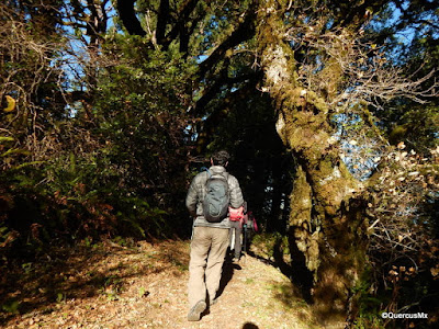 Hiking in razorback ridge trail