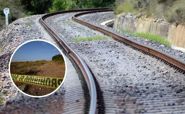 TERROR: Dos niños mueren arrollados por un tren cuando intentaban rescatar a un perro