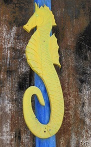 Hillsborough_Seepferdchen