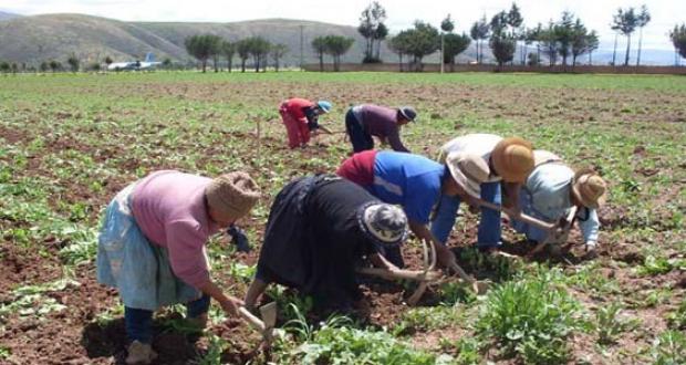 Campesinas e indígenas logran la inclusión pero en marcos de exclusión (Estudio)