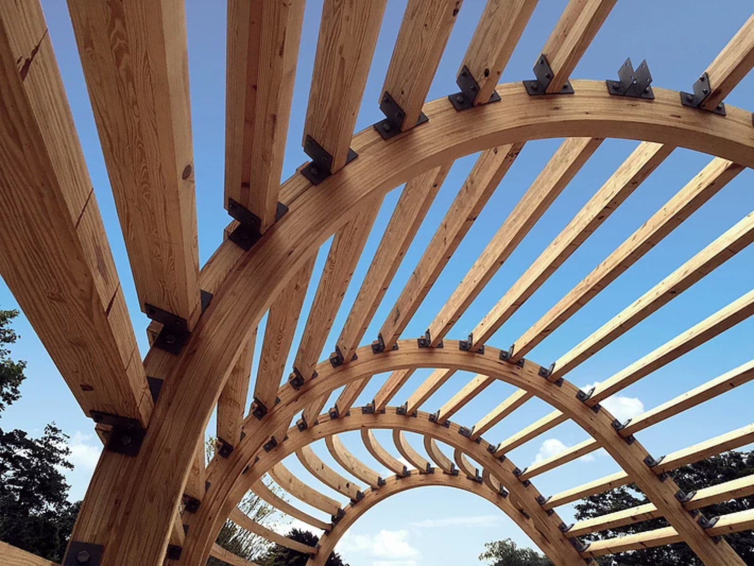 Wood Times Blog Curved Glulam Beams Create Unique Cocoon 