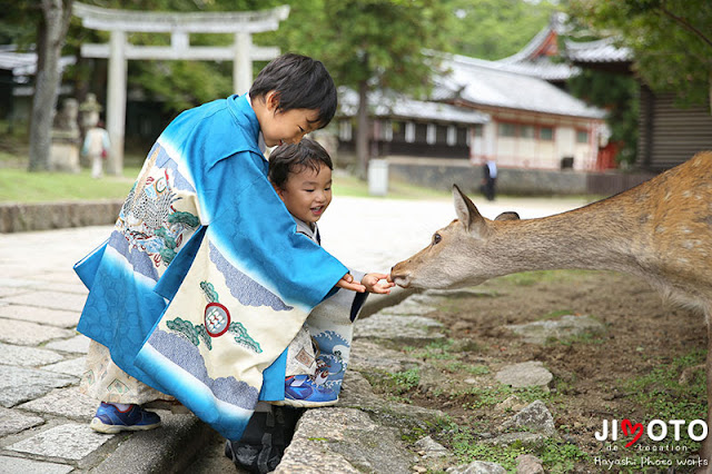 手向山八幡宮での七五三出張撮影