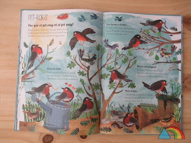 Páginas dedicadas a los petirrojos del interior del libro El gran libro de las aves