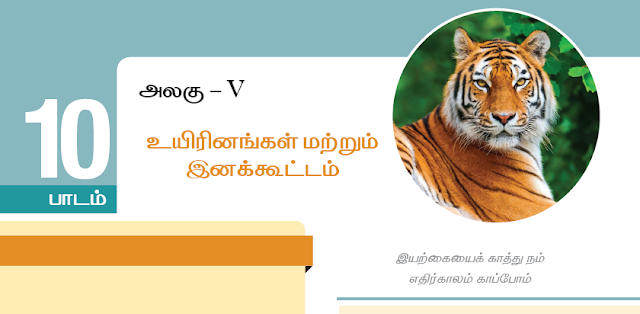 KALVISOLAI ONLINE TEST 82 - CLASS 12 BIOLOGY ZOOLOGY - பாடம் 10 உயிரினங்கள் மற்றும் இனக்கூட்டம் - 1 MARK QUESTIONS