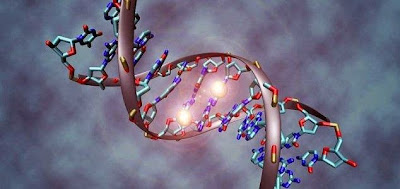 DNA Sanggup Bertahan di Luar Angkasa