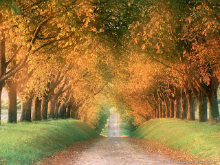Nature HD Wallpapers - Sad Autumn Wallpaper