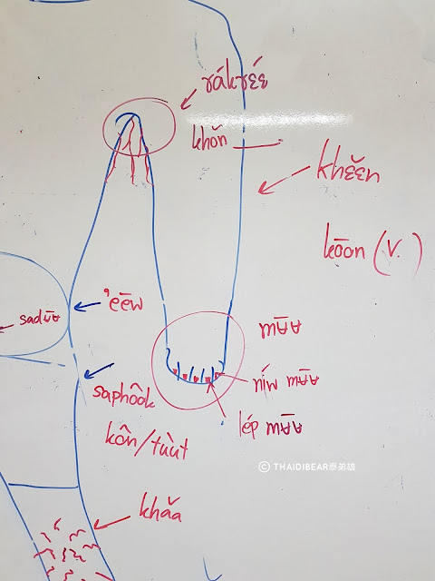 曼谷語言學校推薦【Piammitr】- 泰語學校｜學費｜學生簽證｜師資 language school