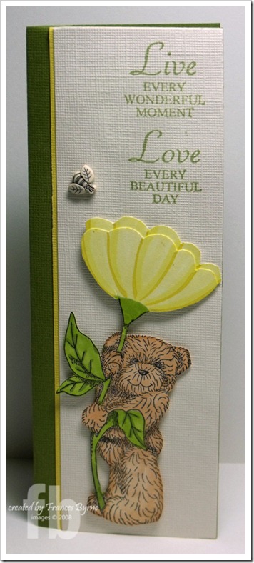 Judikins Bear wm