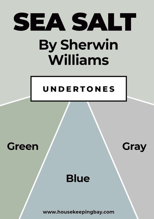Sea Salt by Sherwin Williams Most Popular Paint Color