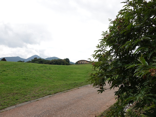 むきばんだ史跡公園の弥生のムラ