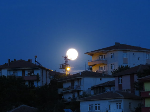 Blue Full Moon Photos