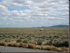 NM 2010 021