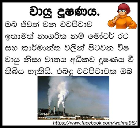 10 Bad Habits That Damage Your Brain Sinhala Articl