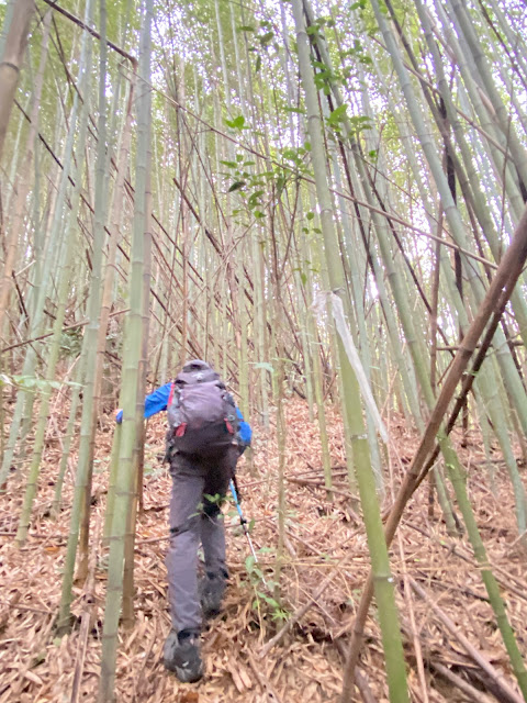 往老雞隆山