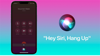 Siri Hang Up