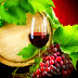 RED WINE - BENEFITS FOR HEALTHY BODY