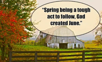 June Quotes - Quotes about June - Quotes for June