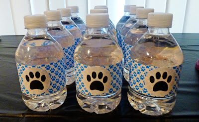 water bottles, puppy