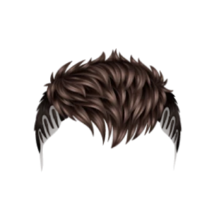 Best Hair PNG Download