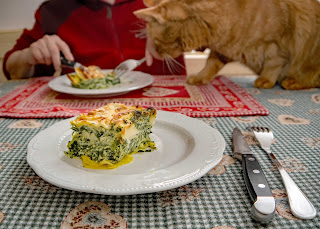 lasagne con ricotta e spinaci