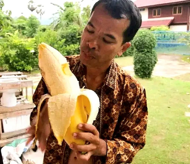 Health benefits of banana