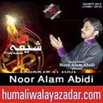 http://audionohay.blogspot.com/2014/10/noor-alam-abidi-nohay-2015.html